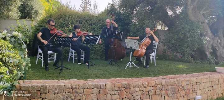 The Puglia String Quartet - performance photo 66