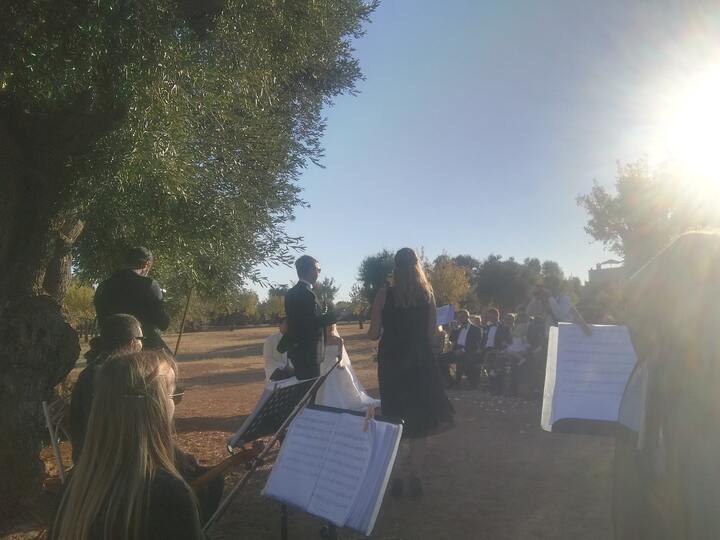 The Puglia String Quartet - performance photo 44