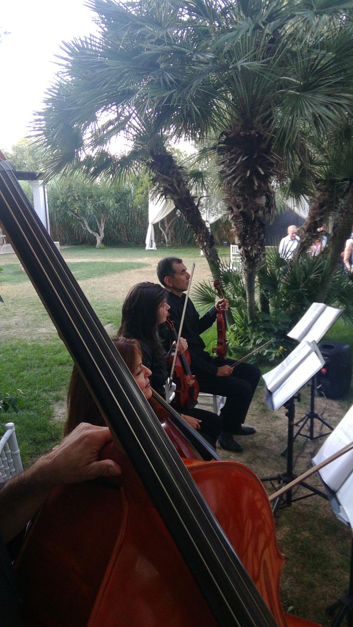 The Puglia String Quartet - performance photo 30