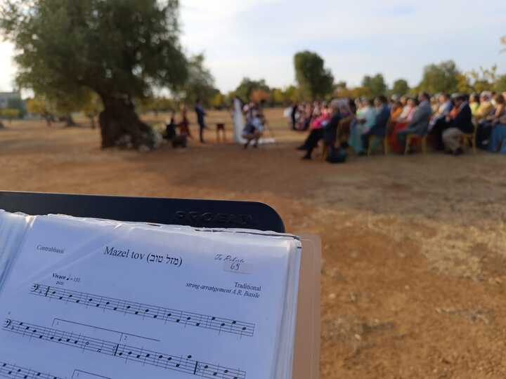 The Puglia String Quartet - performance photo 70