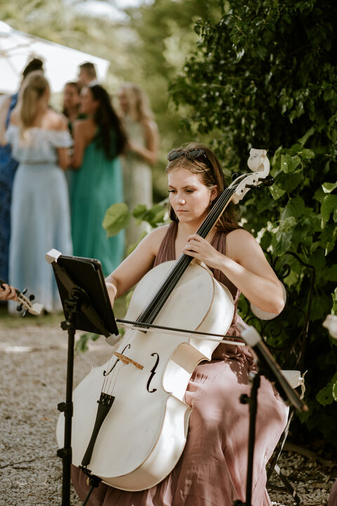 Aquarius Strings - performance photo 6