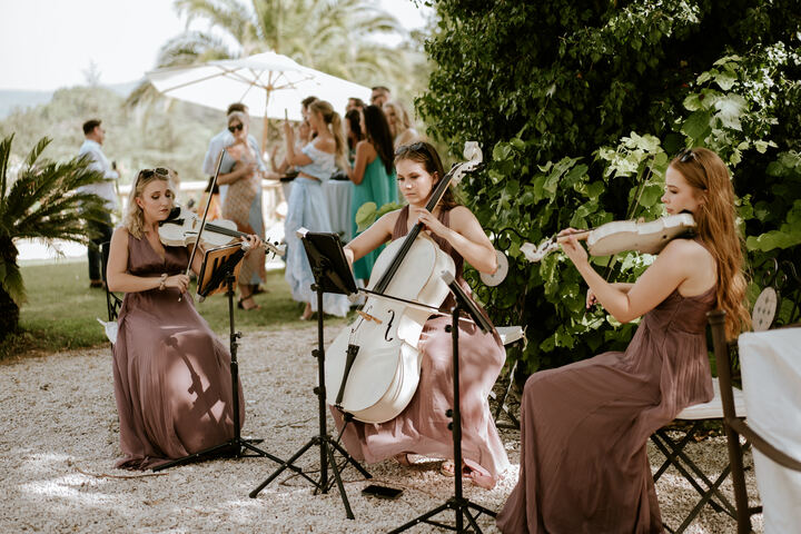 Aquarius Strings - performance photo 8