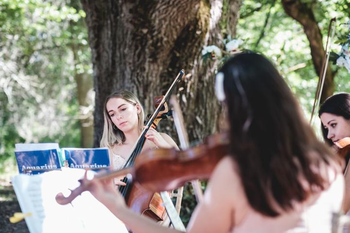 Aquarius Strings - performance photo 52