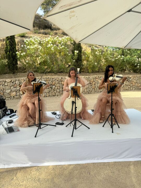 Aquarius Strings - performance photo 1